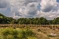 2015_08_12 (0022)